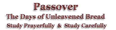 The Passover Service